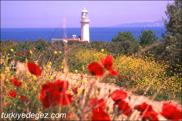 Hora Feneri