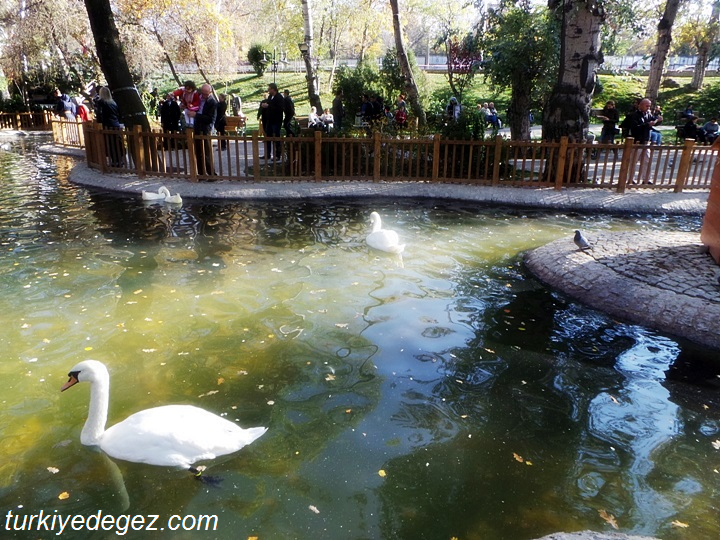 Ankara Kuğulu Park