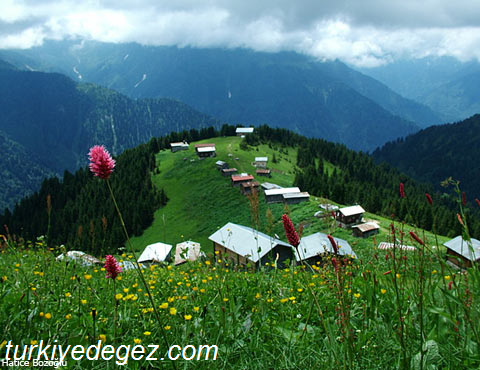 Pokut Yaylası