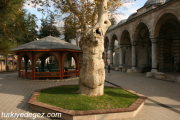 Alipaşa Cami