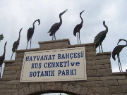Darıca Kuş Cenneti ve Temalı Parkı