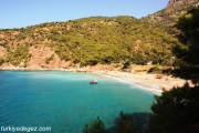 Kabak koyu