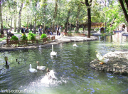 Kuğulu Park