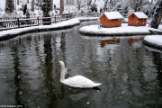 Kuğulu Park