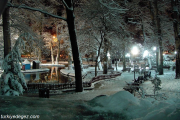 Ankara Kuğulu Park