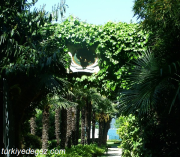 Tarabya