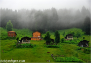 Ayder Yaylası